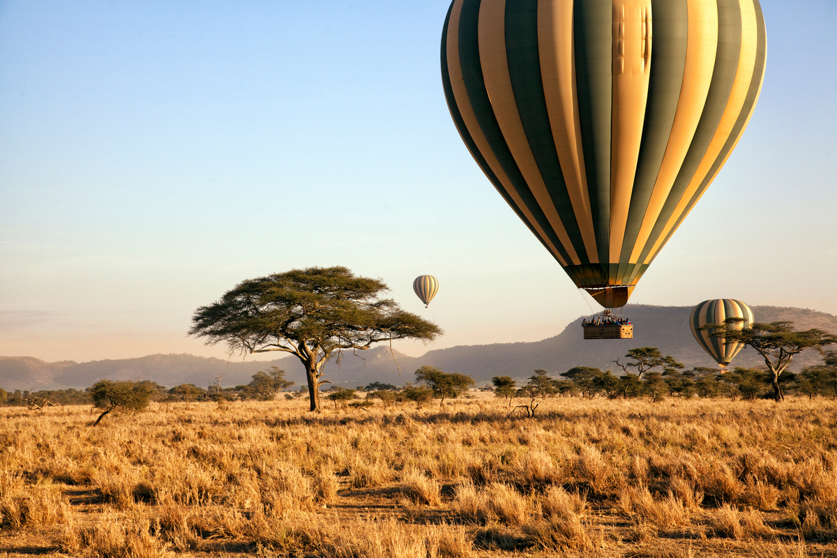 Safari i Zanzibar