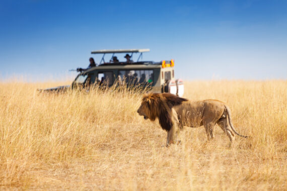 Safari i Zanzibar