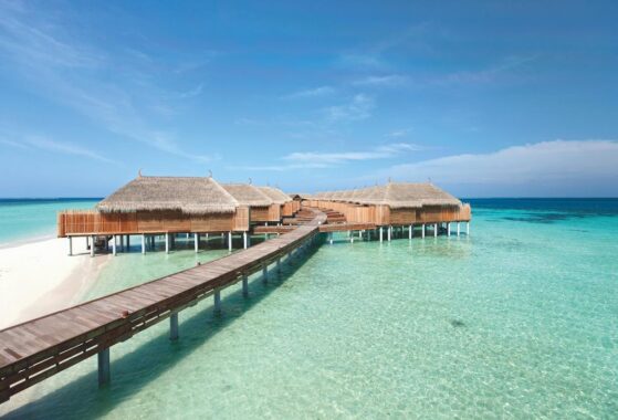 Constance Moofushi 5*