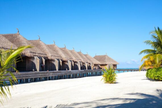 Constance Moofushi 5*