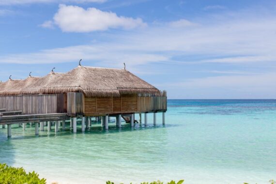 Constance Moofushi 5*