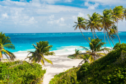 Barbados -Bottom Bay 2