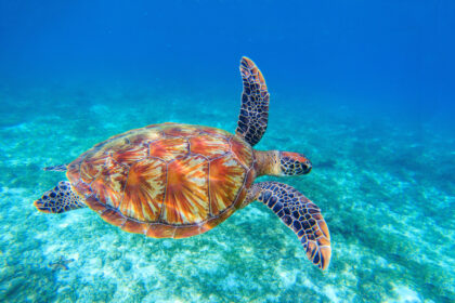 Boracay 02