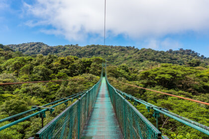 Monteverde 1