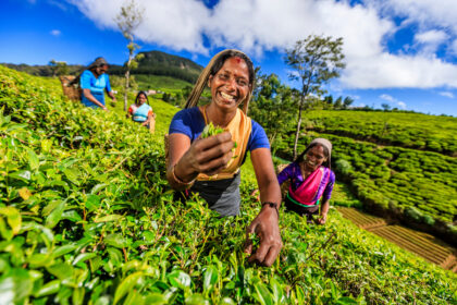 Nuwara Eliya 02jpg