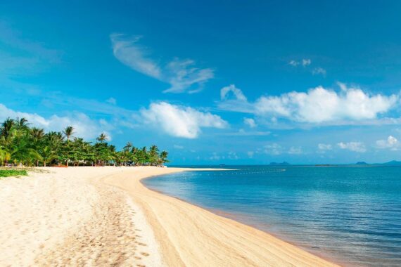 W Koh Samui 5*