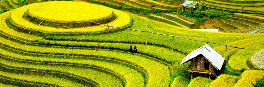 ID82_baner4
