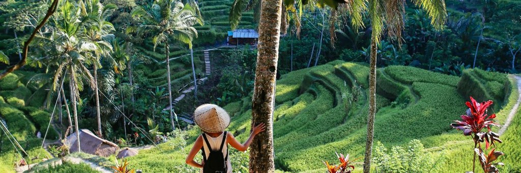 atrakcje_indonezji_banner1