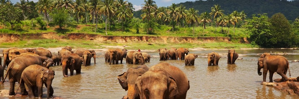 sri_lanka_wizy_banner2