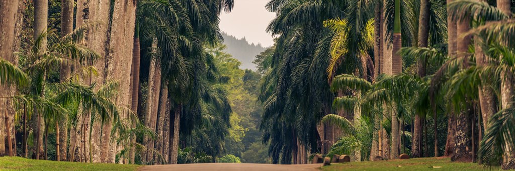 szczepienia_sri_lanka_banner1