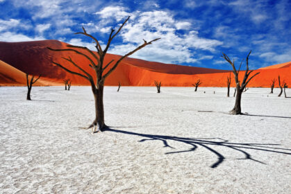 Dead Vlei 1