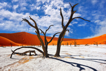 Pustynia Namib - Dead Vlei