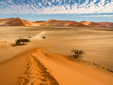 Pustynia Namib - Dune 45