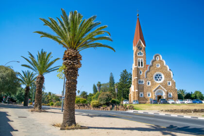 Windhoek - Palm Tree Walkway