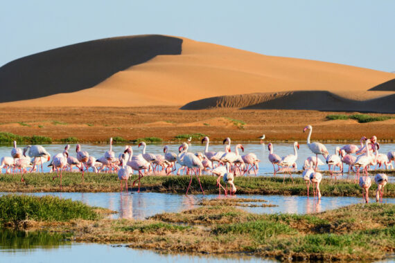 Namibia Self-Drive 4×4 – w rytmie afrykańskiej natury